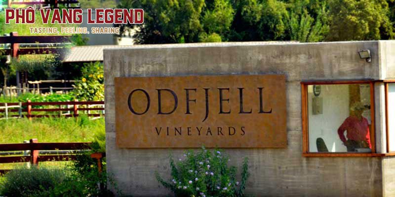 Odfiell Vineyards