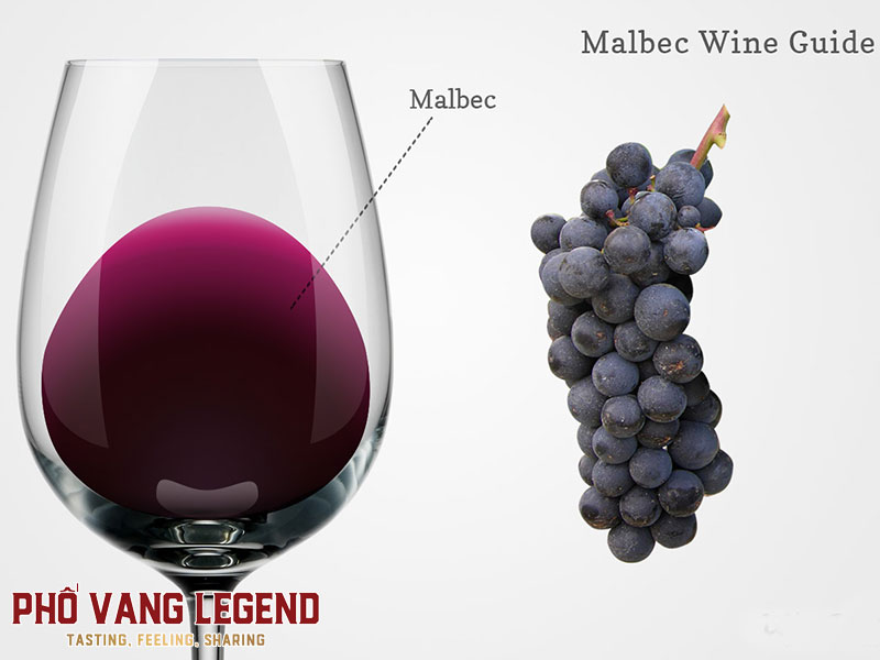 Malbec 2