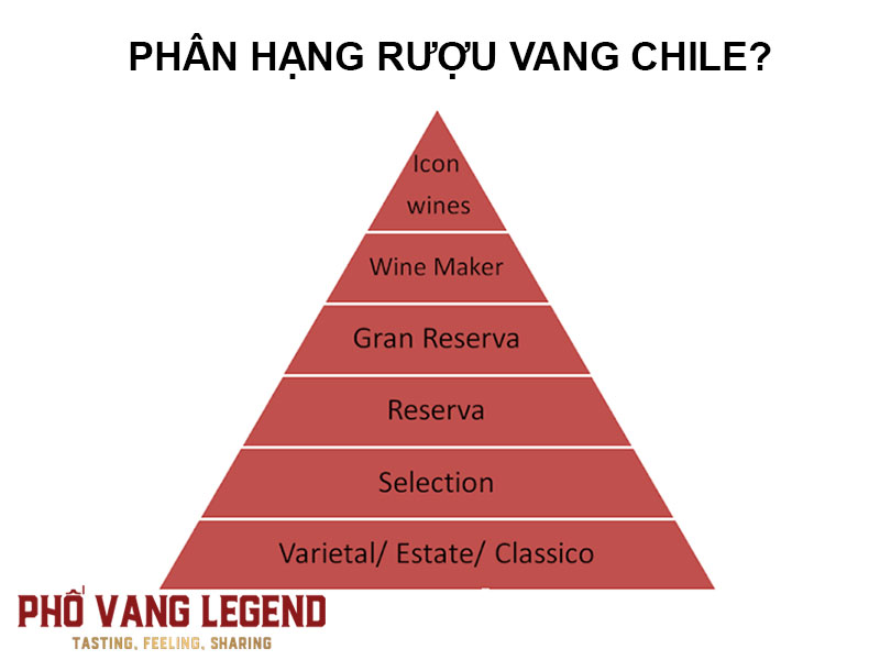 Phân hạng rượu vang Chile? 