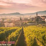 Rượu vang Amarone vùng Veneto có gì đặc biệt?
