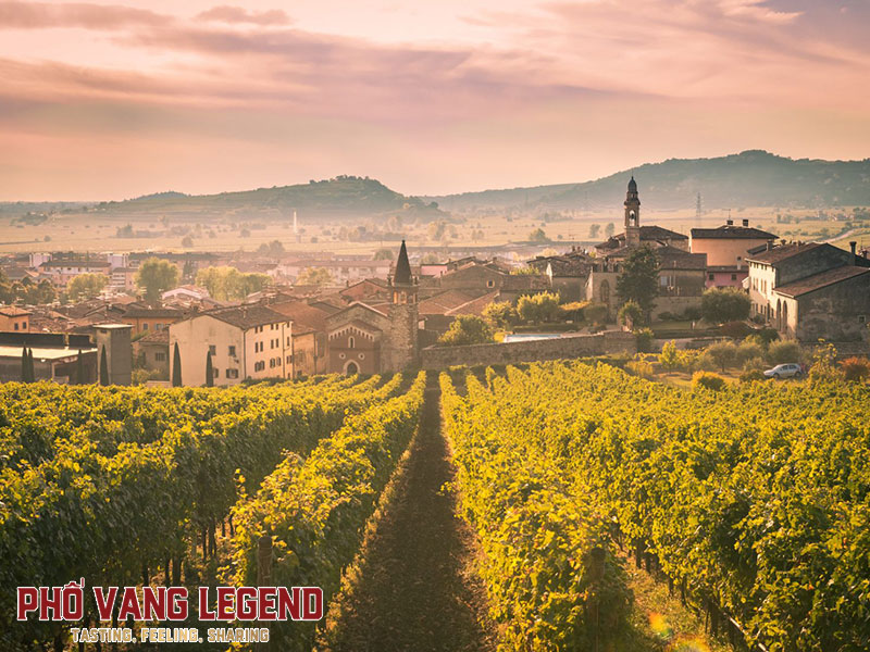 Rượu vang Amarone vùng Veneto có gì đặc biệt?