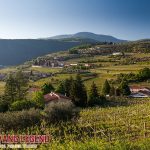 Rượu vang vùng Valpolicella