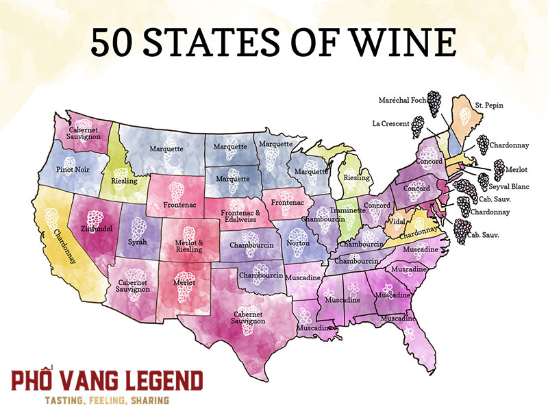 Vùng sản xuất rượu vang Mỹ?