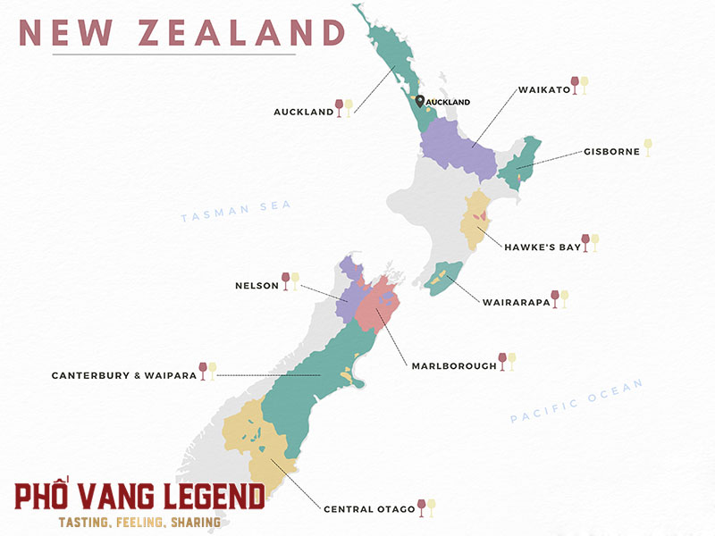 Vùng sản xuất rượu vang New Zeland