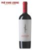 Ruou Vang Chile Terra Noble Lahuen Icon Wine