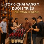 Top 6 Chai Vang Ý Dưới 1 Triệu