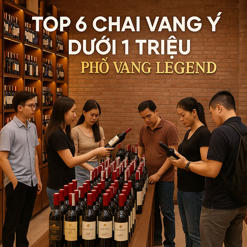 Top 6 Chai Vang Ý Dưới 1 Triệu